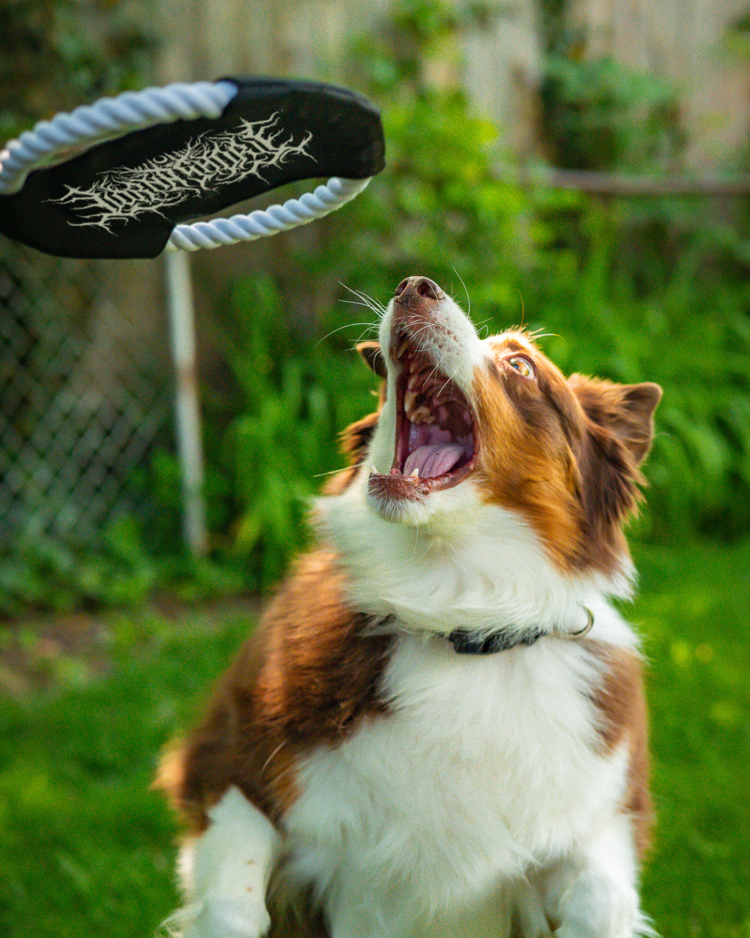 Lorna Shore Logo Rope Dog Toy