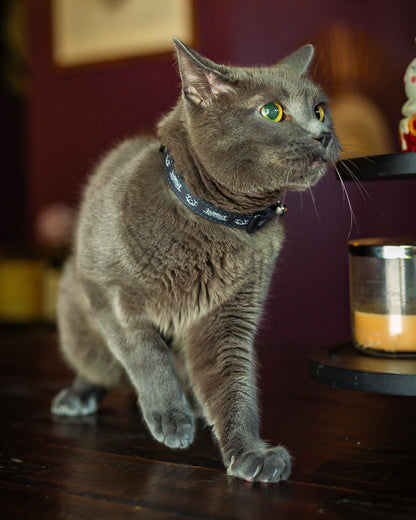 Lorna Shore Logo Cat Collar *PREORDER SHIPS 7/1
