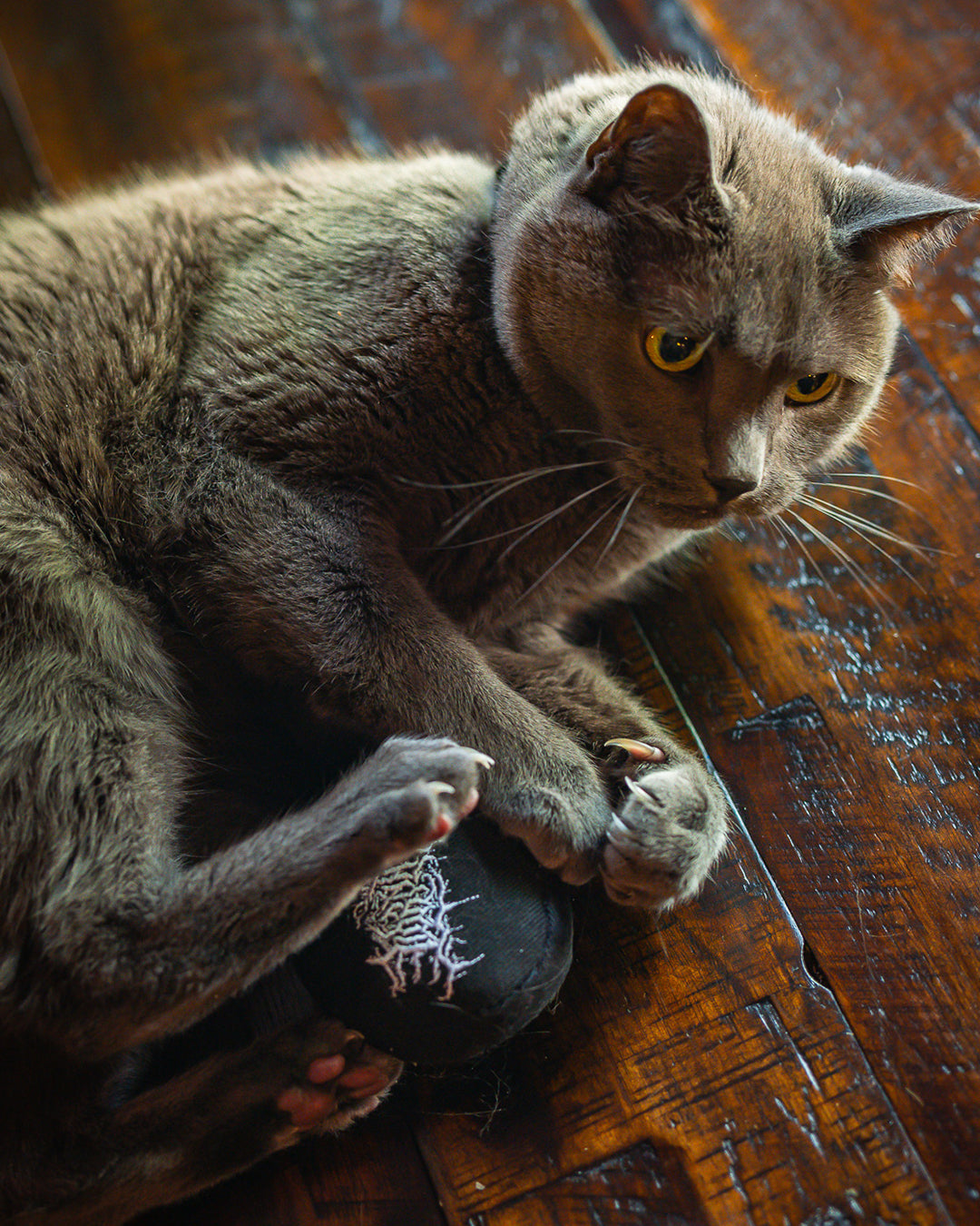 Lorna Shore Logo Catnip Toy