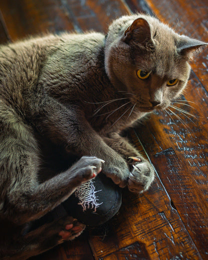 Lorna Shore Logo Catnip Toy