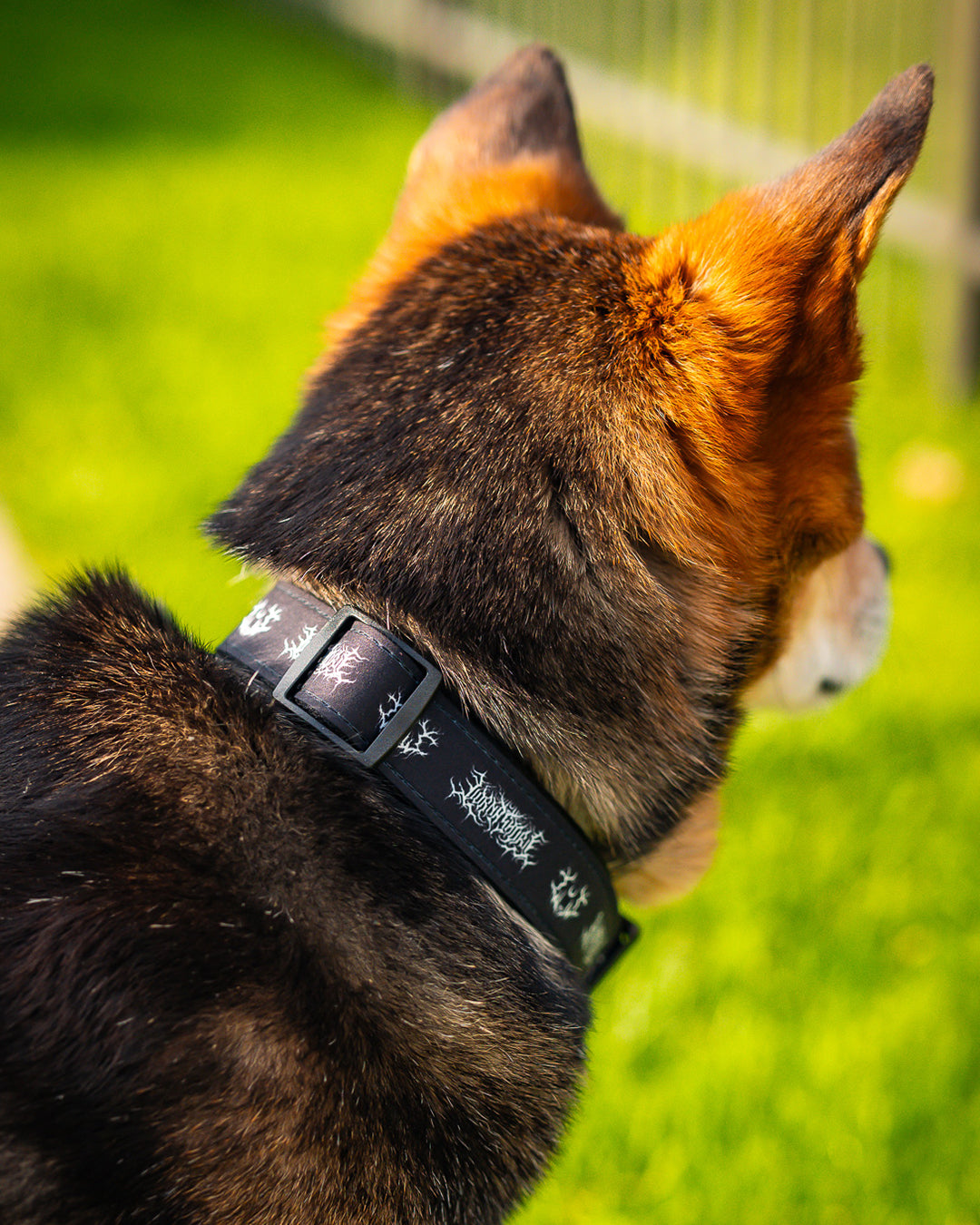 Lorna Shore Logo Dog Collar