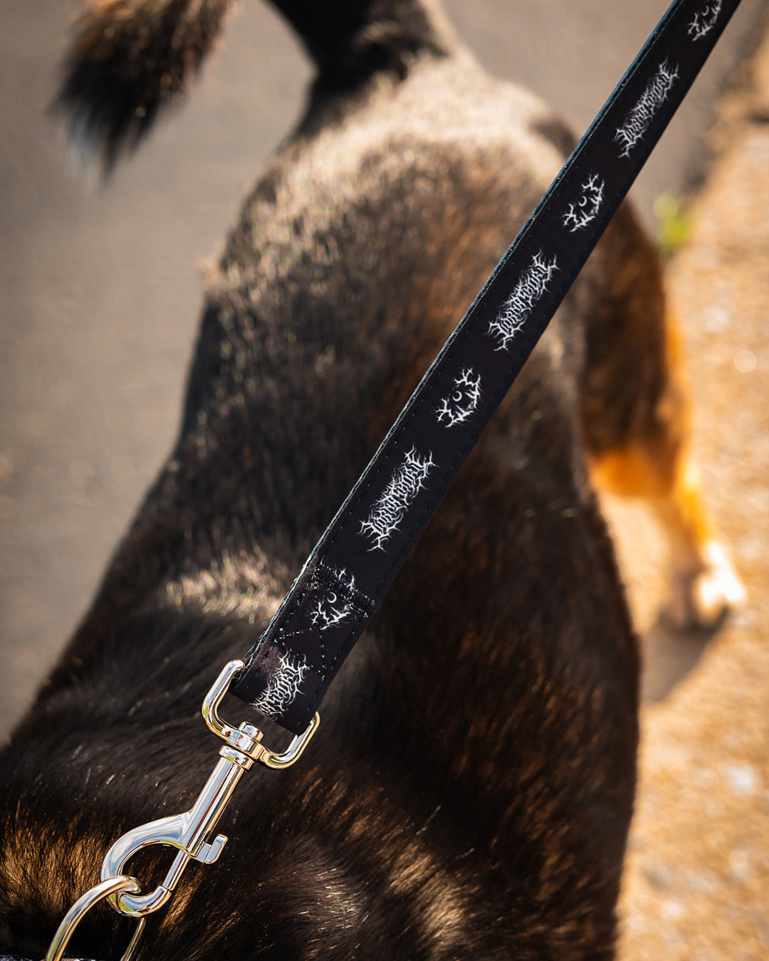 Lorna Shore Logo Dog Leash