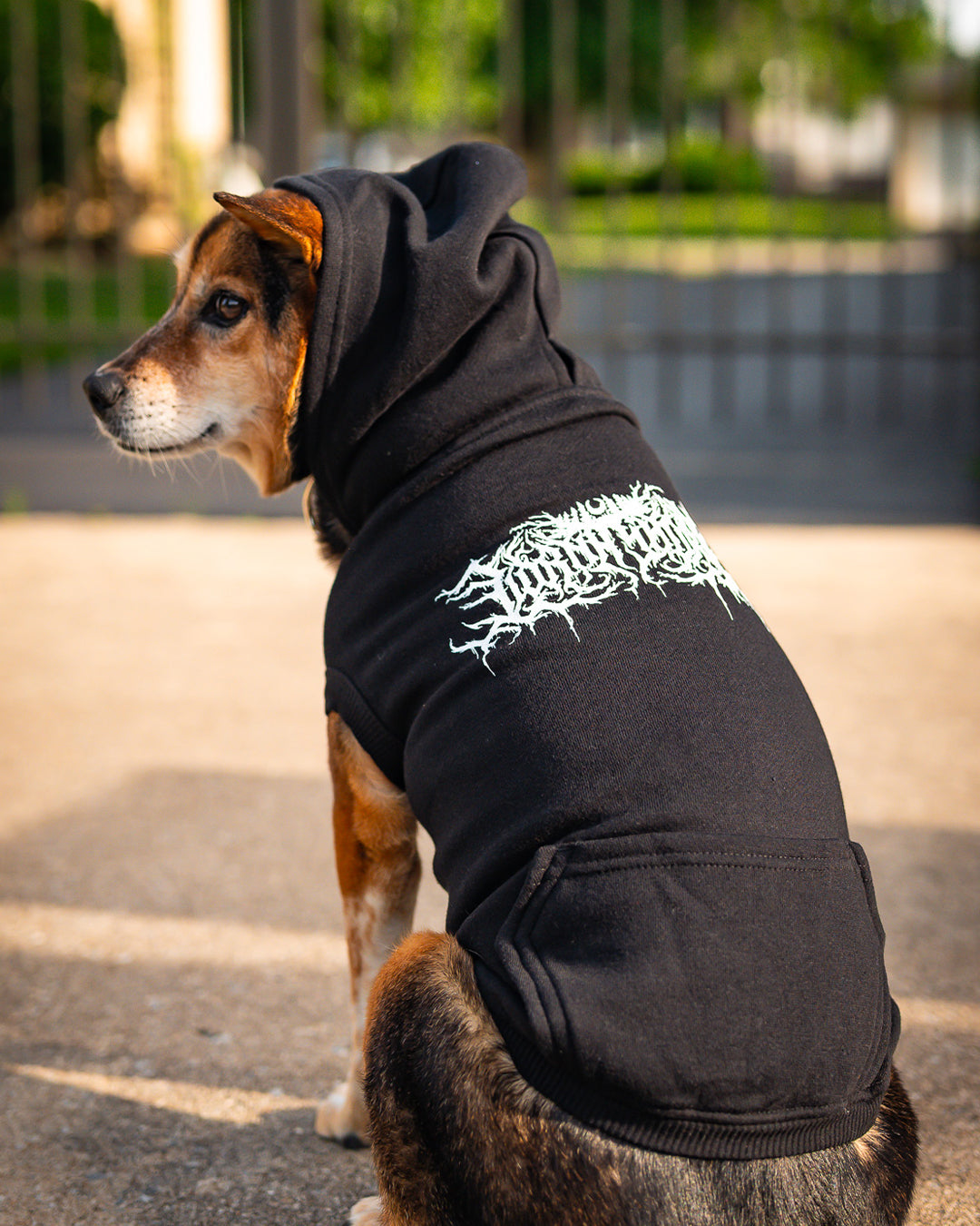 Lorna Shore Logo Dog Hooded Sweatshirt